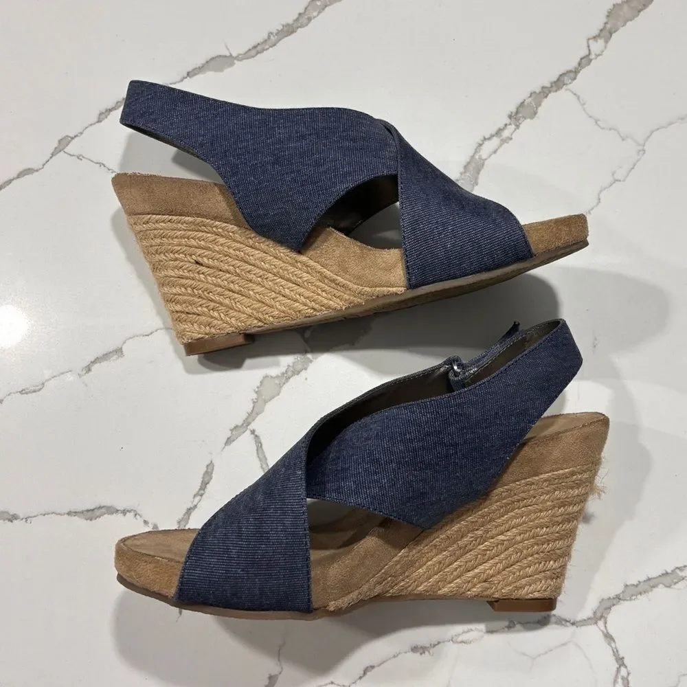 Aerosoles |  